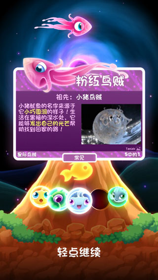 超级星鱼