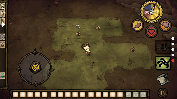 Dont Starve