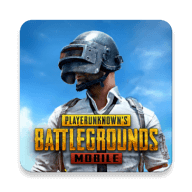 pubg国际服最新版本  v3.4.0