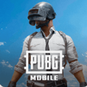 Pubg手游地铁逃生国际服